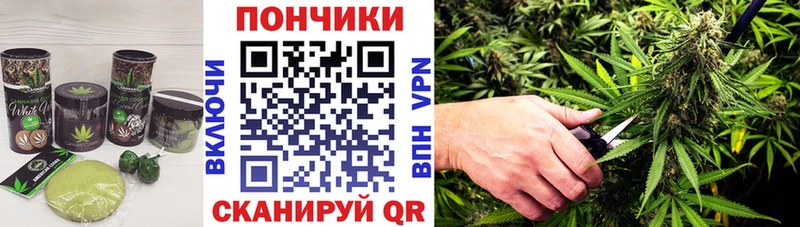 где можно купить   Нижние Серги  Cannafood конопля 