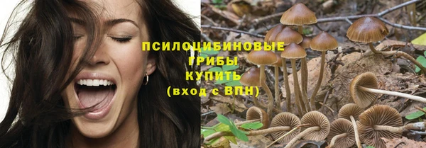spice Алексин