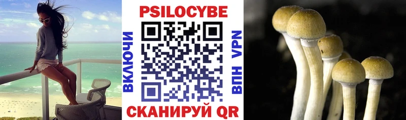 Псилоцибиновые грибы мицелий  Нижние Серги 